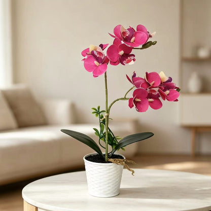 Künstliche Orchideenarrangement für dekorative Innenausstellung