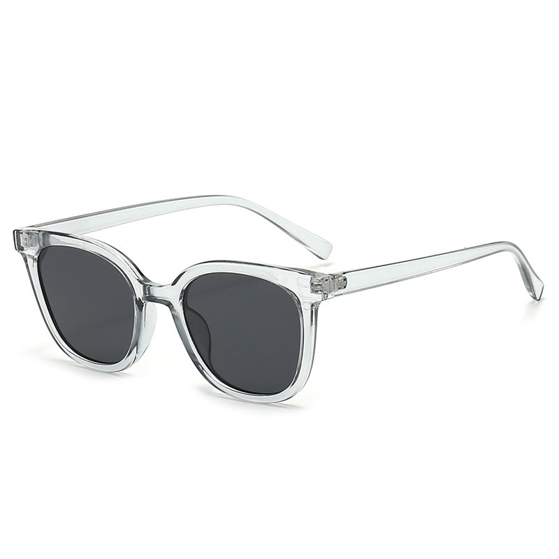 Stylishe Hornbrillen-Sonnenbrille