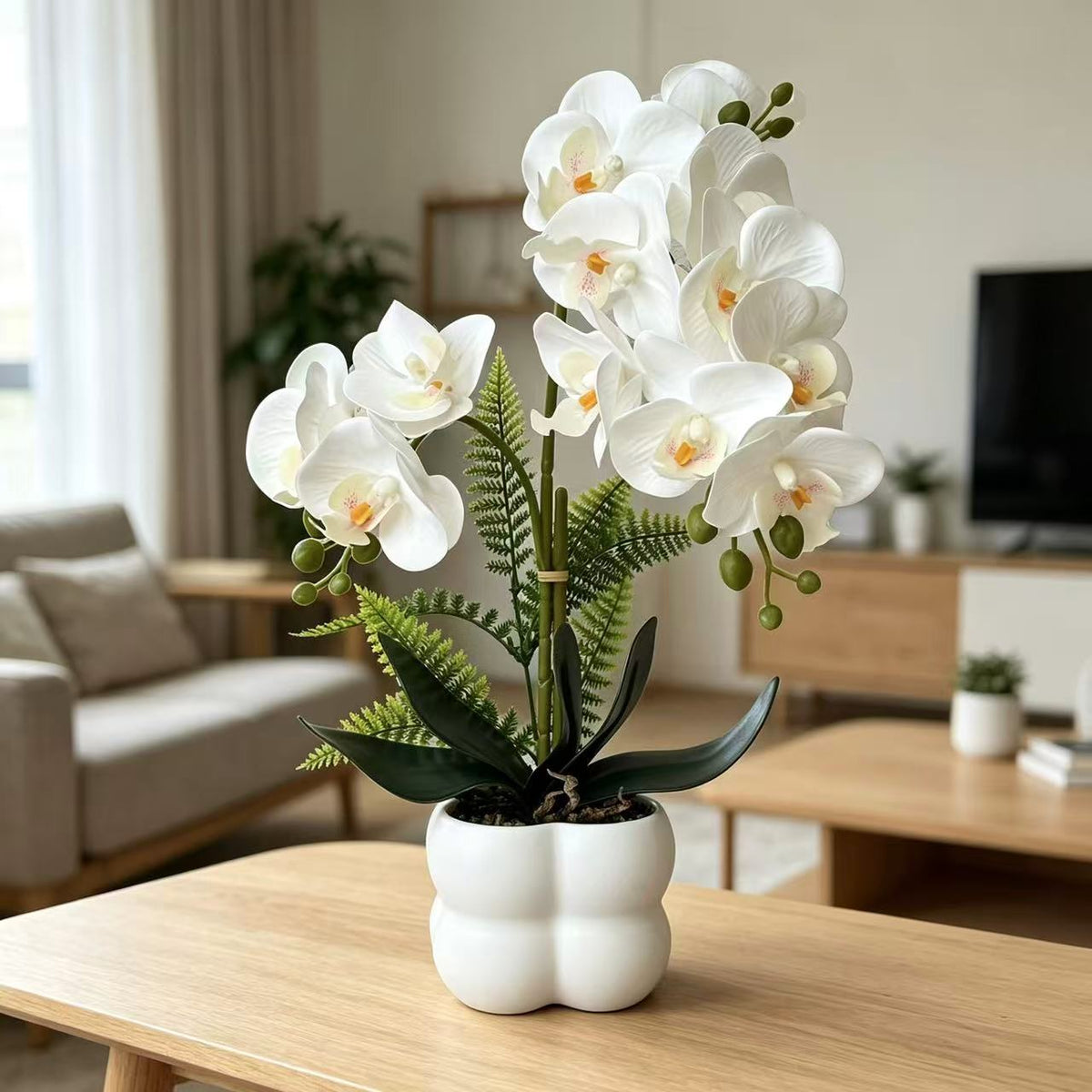 Premium lebensechte Orchideenpflanzenarrangement