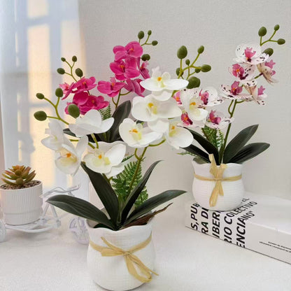 Realistische Dekorative Orchideenpflanze