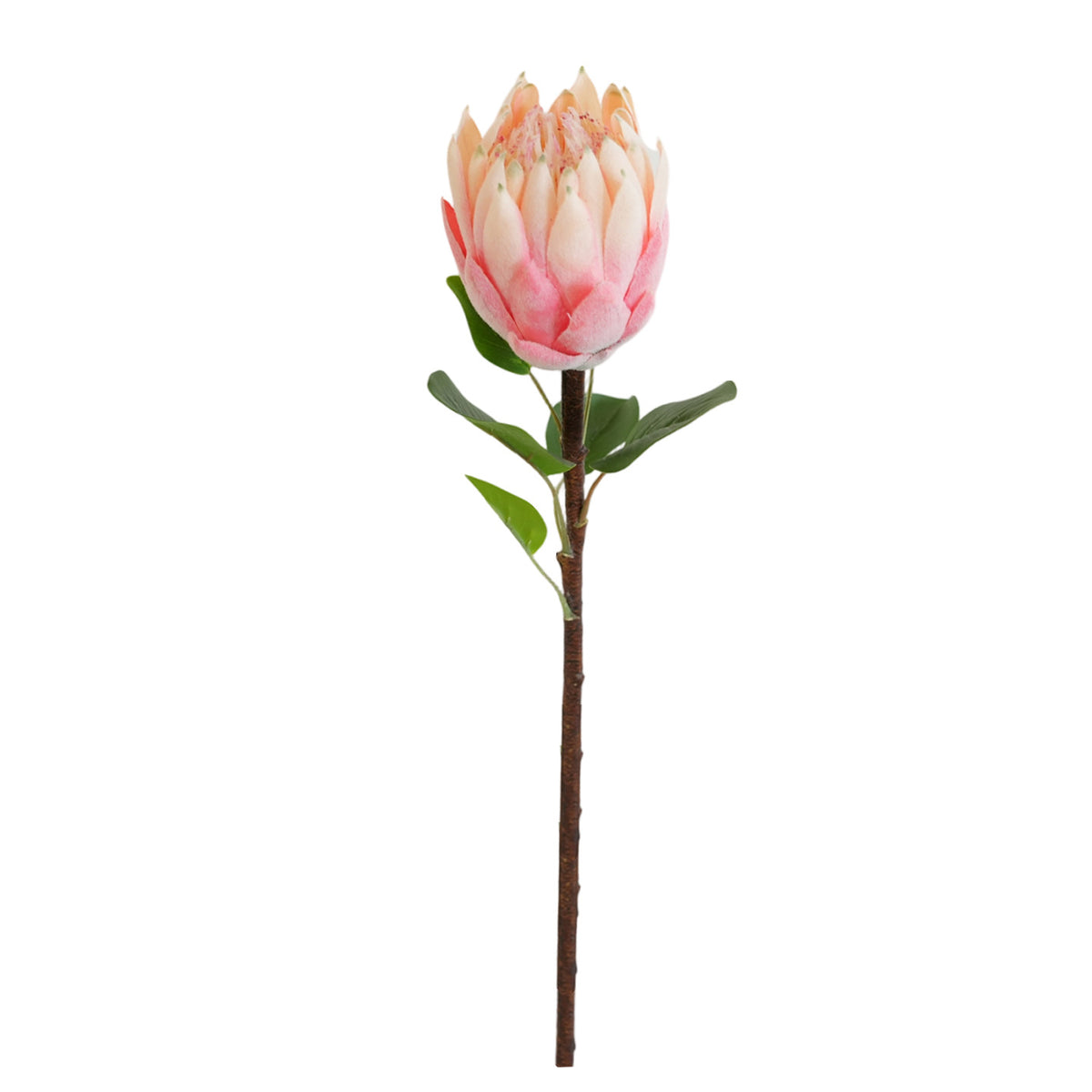 Künstliche Protea Blume Brehn