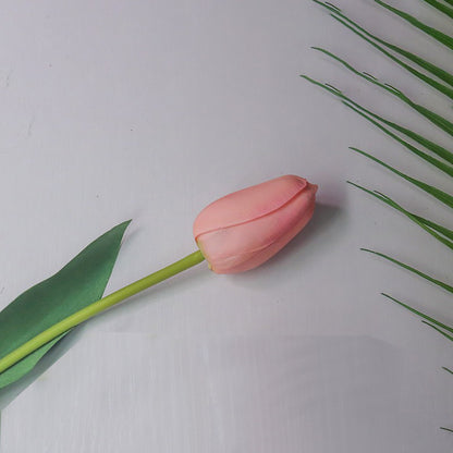Realistische Tulpenblumenstängel