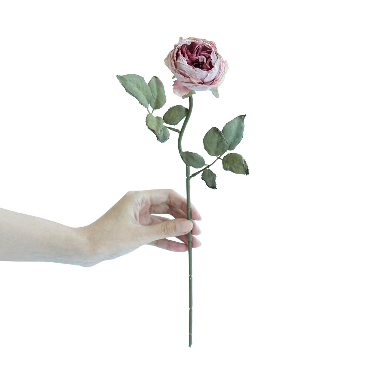 Lebensechte Rosenstiel Dekoration