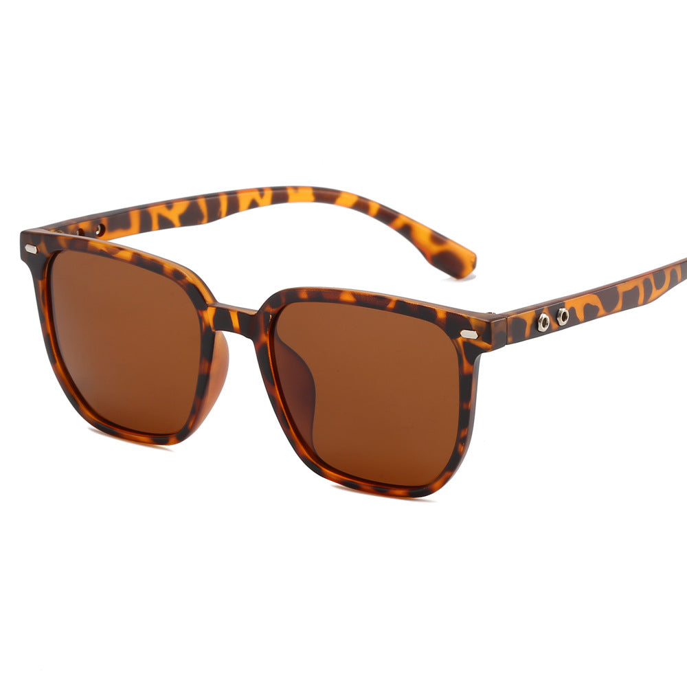 Damen modische Sonnenbrille im trendigen Schildpatt-Design Brehn
