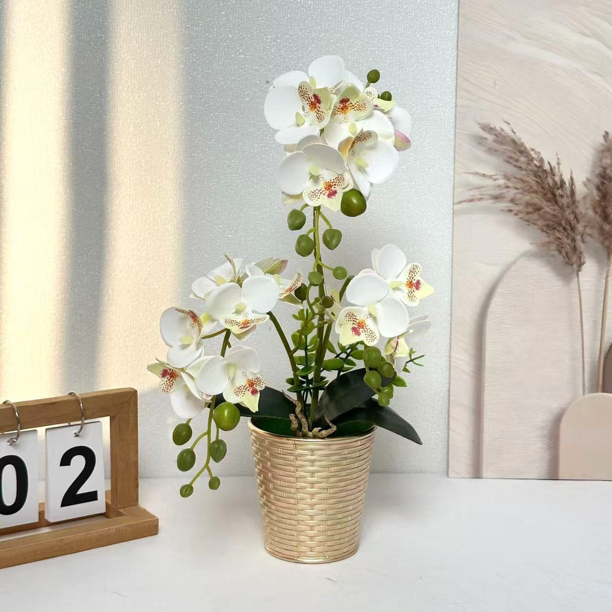 Dekorative Orchideenpflanze für Tischdeko