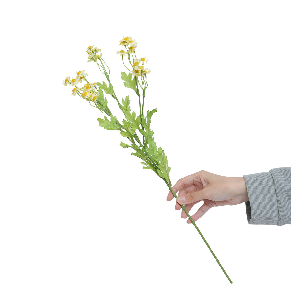Realistische gelbe Wildblumenstiel
