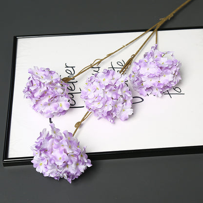 Dekorative getrocknete Blumenstängel für die Wohnkultur