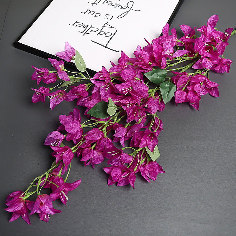 Bougainvillea Blumensstem für Wohnkultur-Display