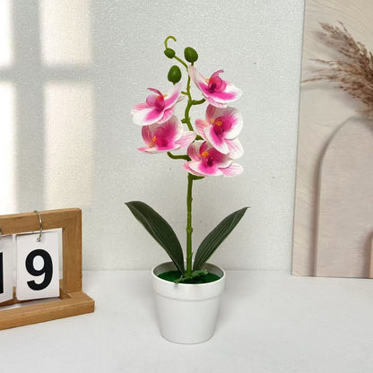 Dekorative Künstliche Orchidee für die Heimdekoration