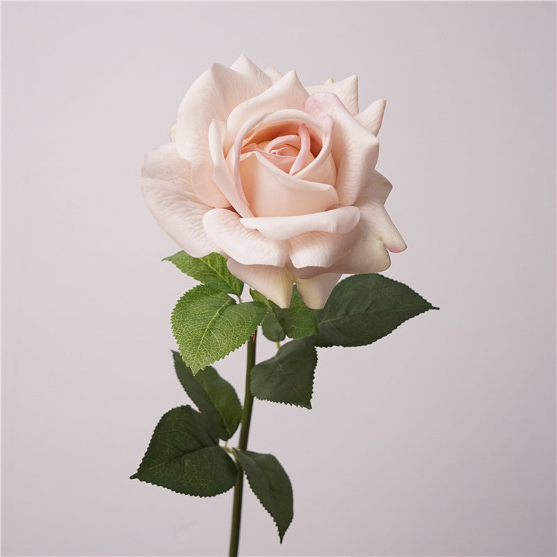 Lebensnahe Gartenrose Stiel
