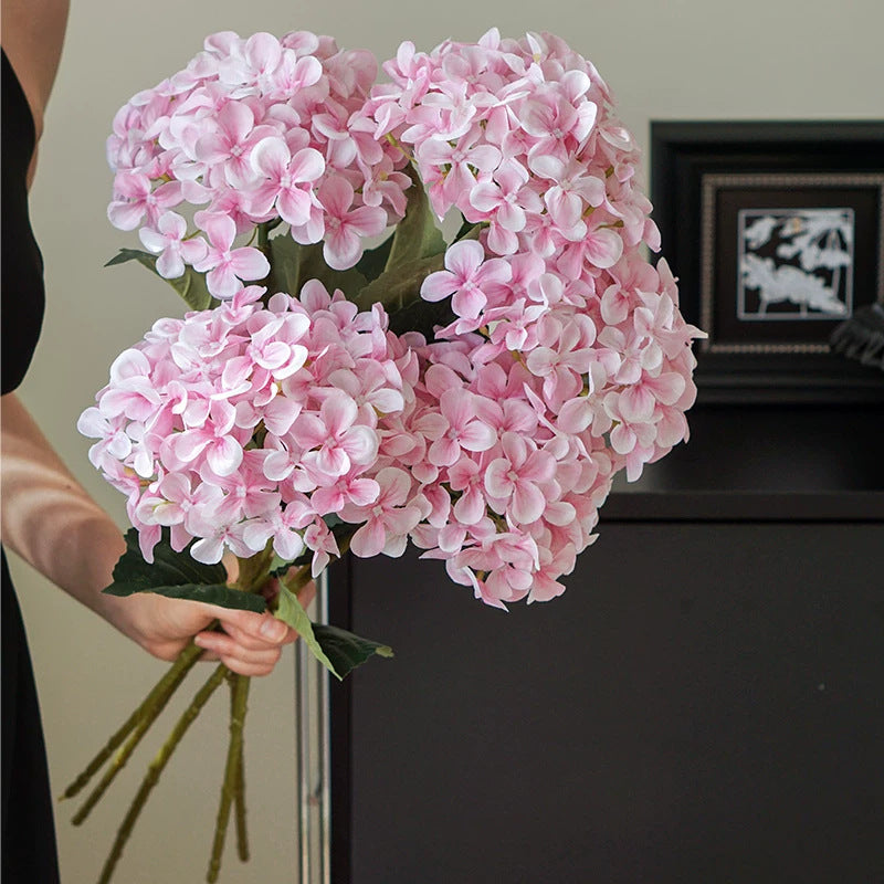 Hydrangea Dekorativer Floraler Stiel