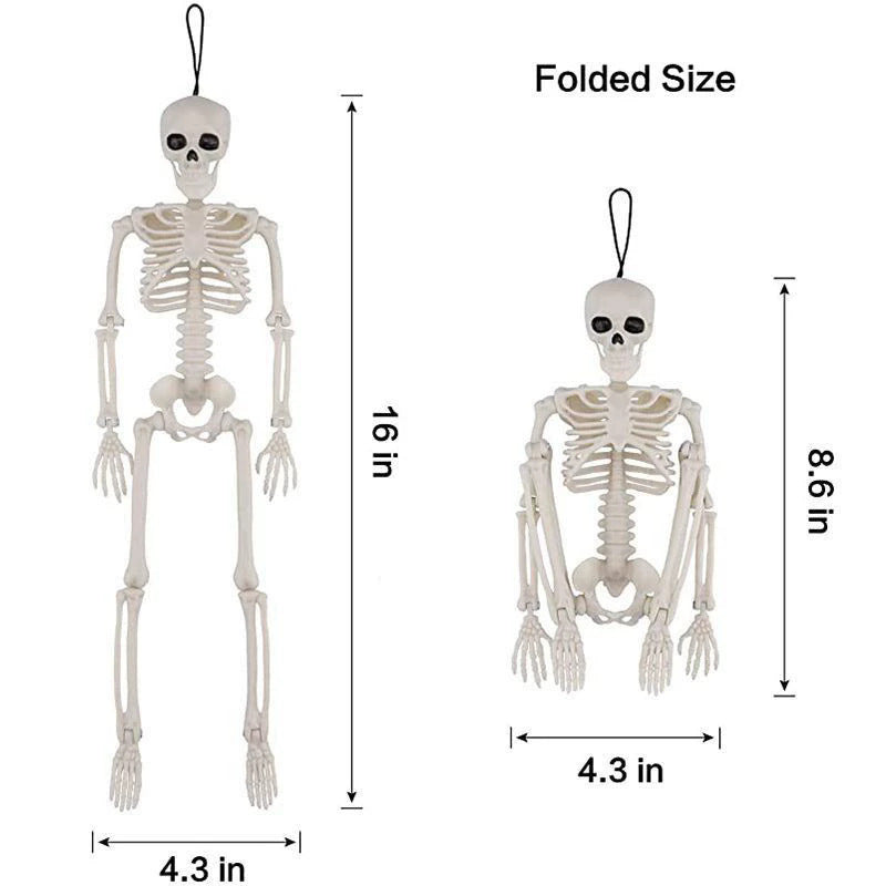 Anatomisches Modell