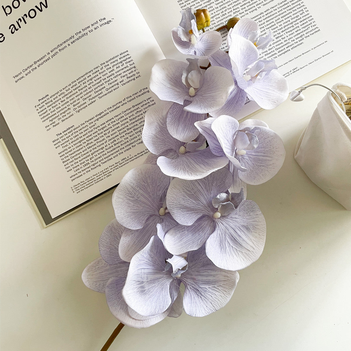 Elegante Orchidee Stiel