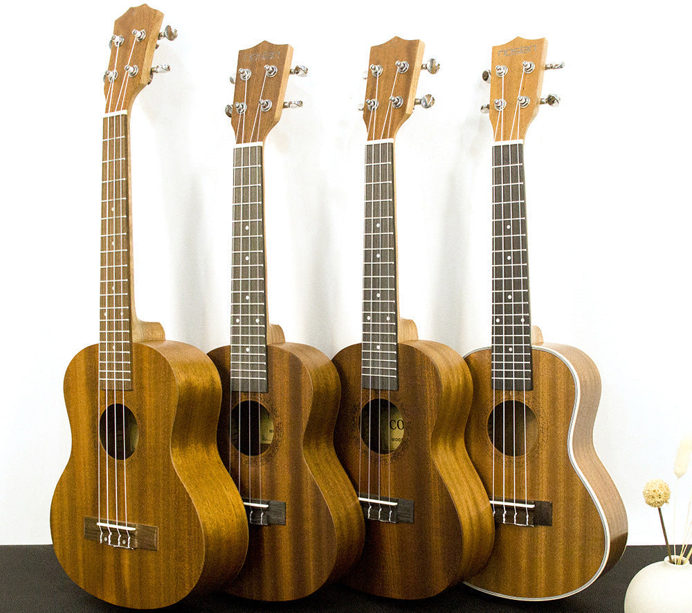 Rainbow Akustik Ukulele Brehn