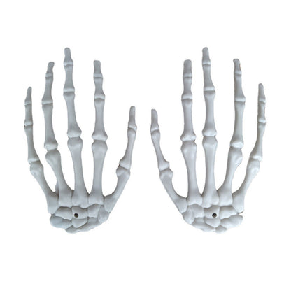 Anatomisches Hand-Skelettmodell Brehn