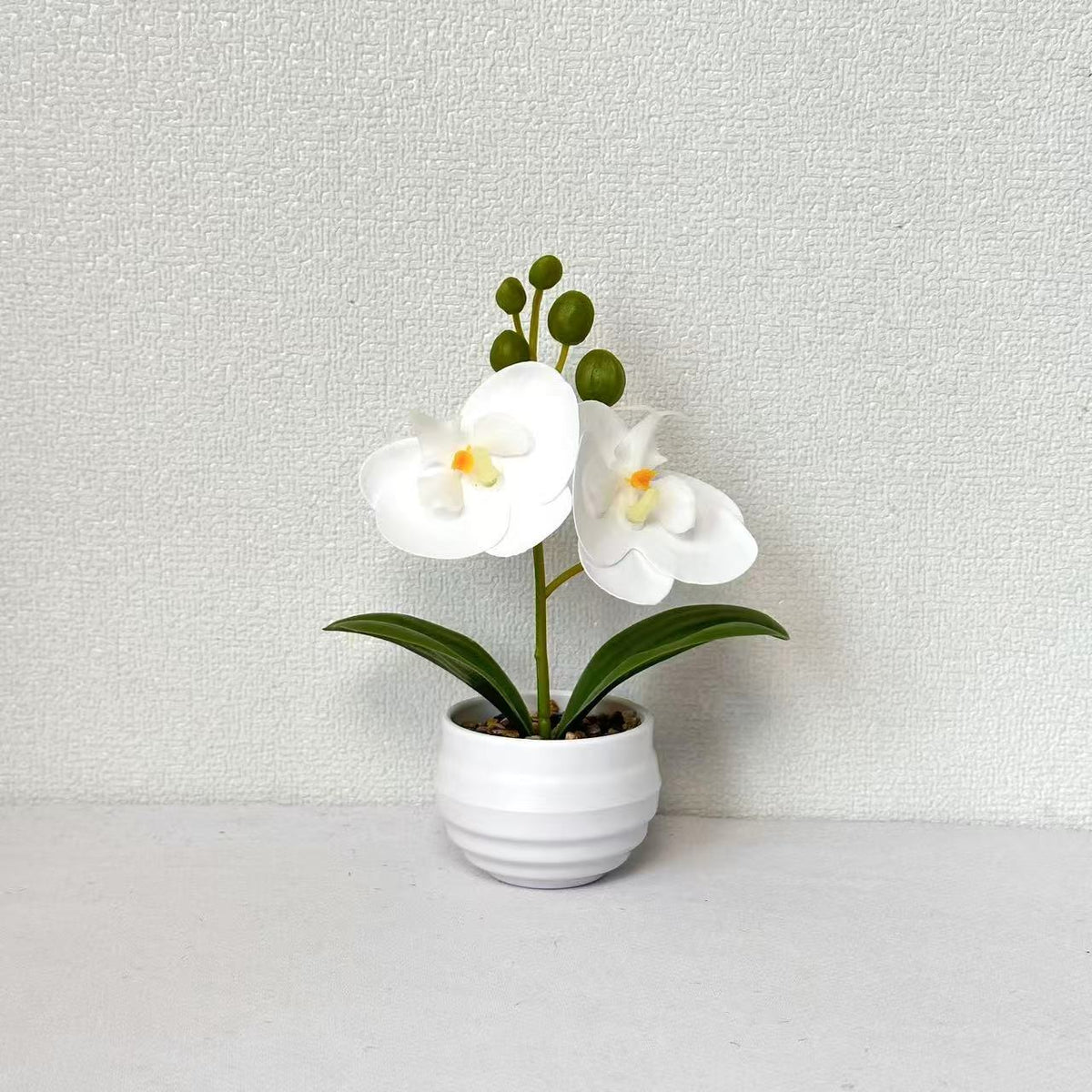 Dekorative Orchideen-Topf