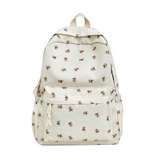 Schicker Reiserrucksack Brehn