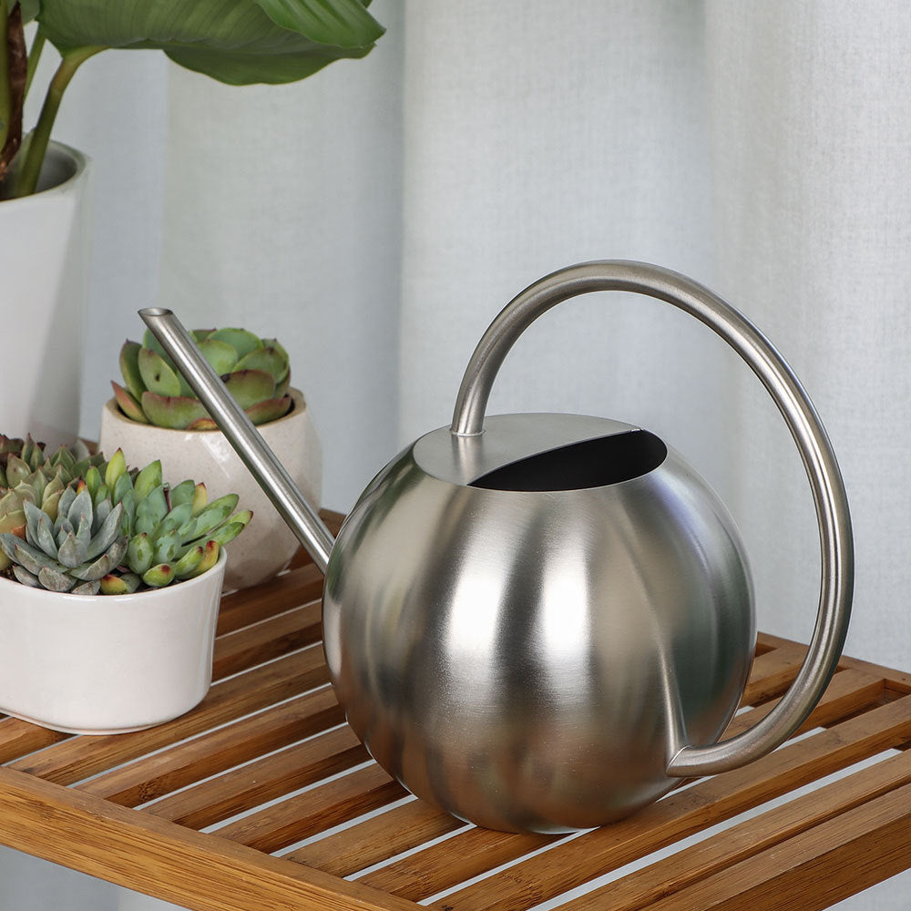 Stylische moderne Gießkanne