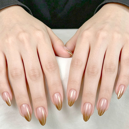 Ombre Stiletto Nagelverlängerungen Brehn