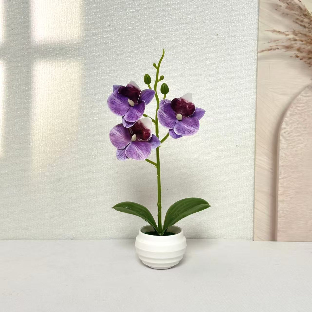 Elegante dekorative Orchideenpflanzenanordnung für die Wohnkultur