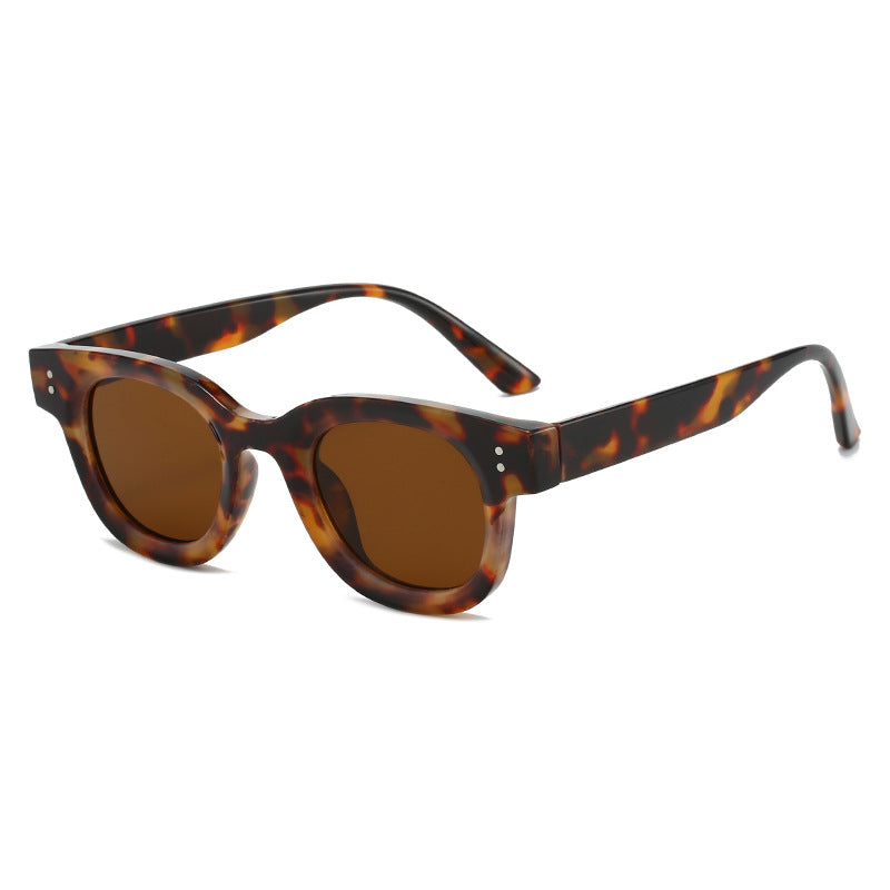 Damen modische Sonnenbrille im zeitlosen Schildkrötenmuster Brehn