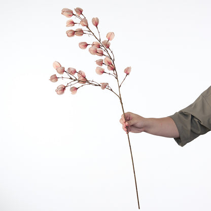 Dekorativer getrockneter Blumenstiel