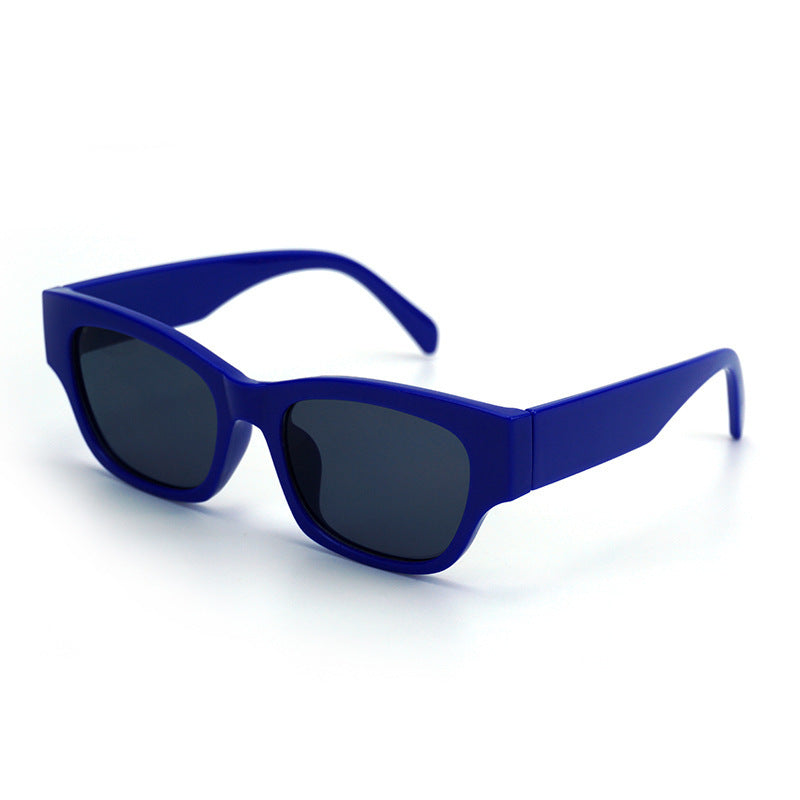 Damen Modische Sonnenbrille mit hochwertigem Kunststoffrahmen und UV-Schutz Brehn