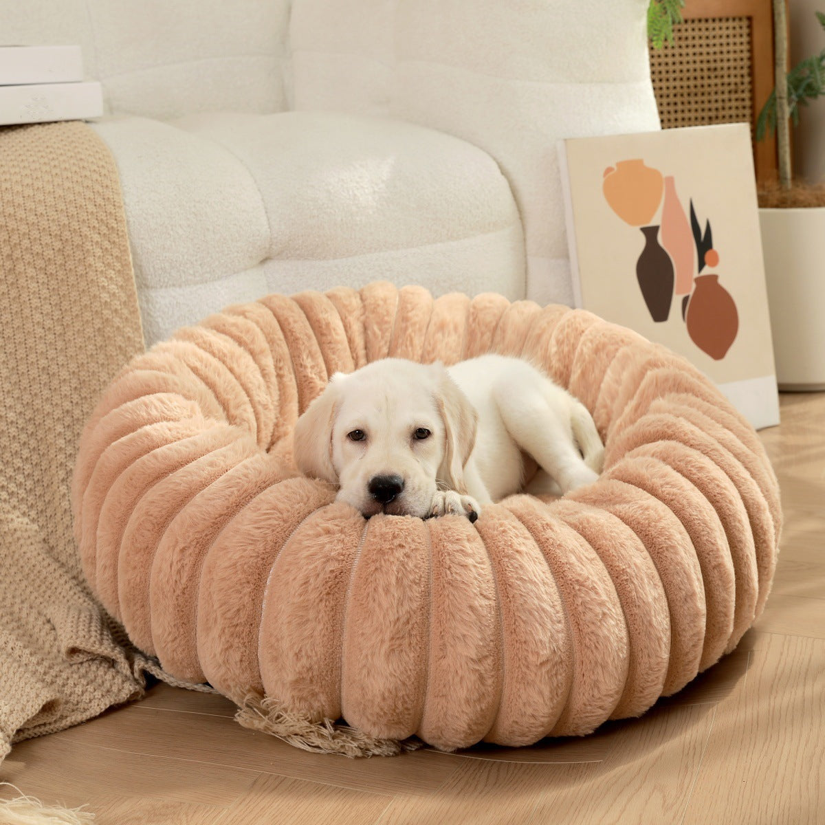 Damen Gemütliches und stilvolles Kuschelbett Brehn