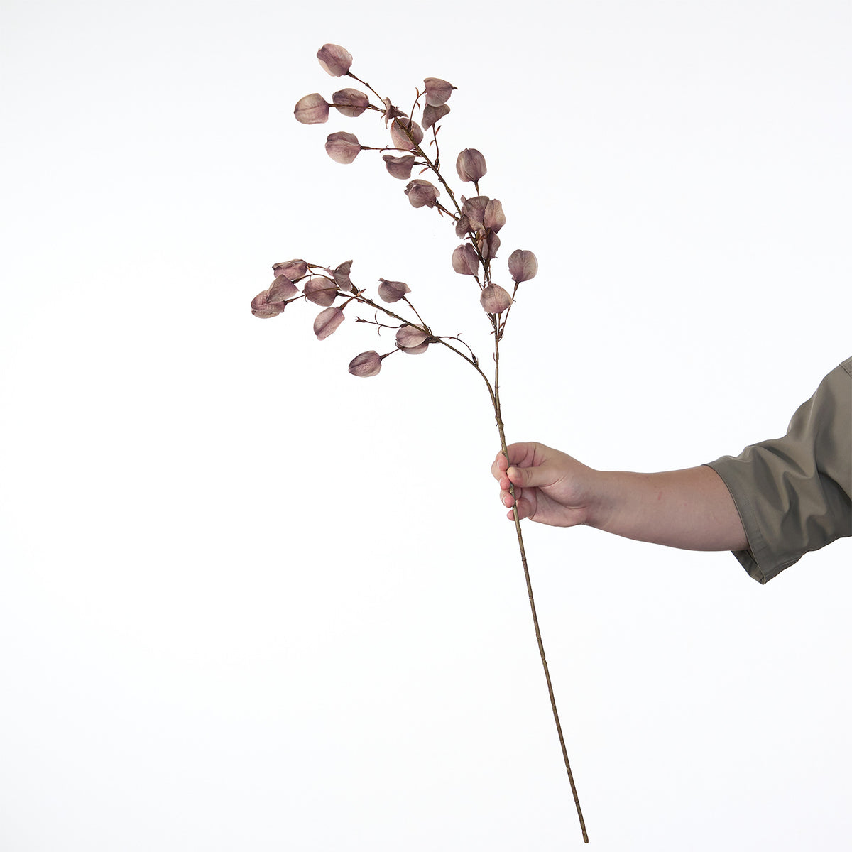 Dekorativer getrockneter Blumenstiel