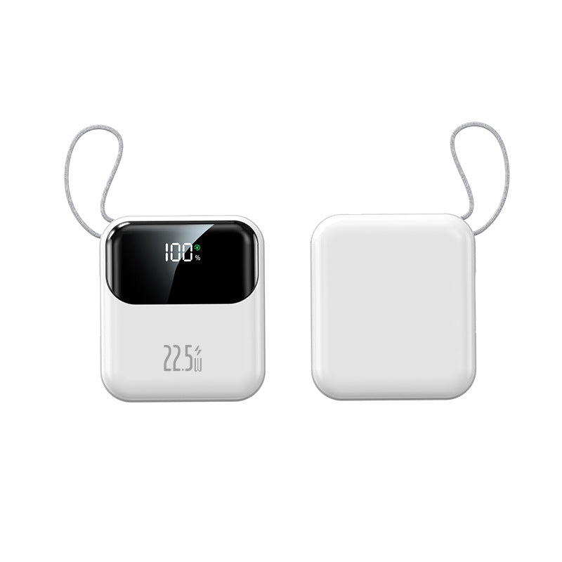 Powerbank Brehn
