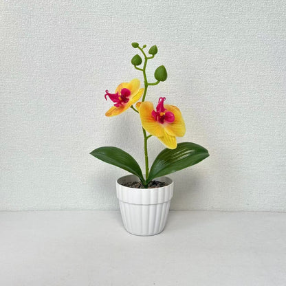 Lebensechte Orchidee Pflanze in dekorativem Keramiktopf für Dekor