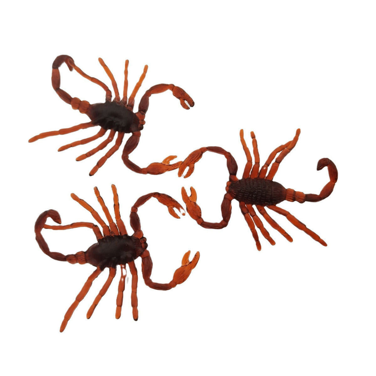 Realistische Skorpion Requisiten Brehn