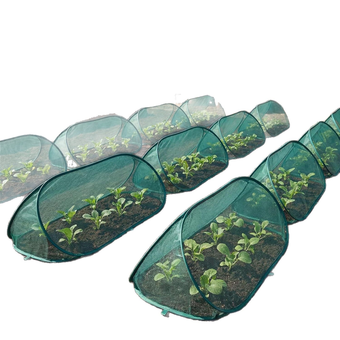 Gartenpflanzen Schutz Brehn