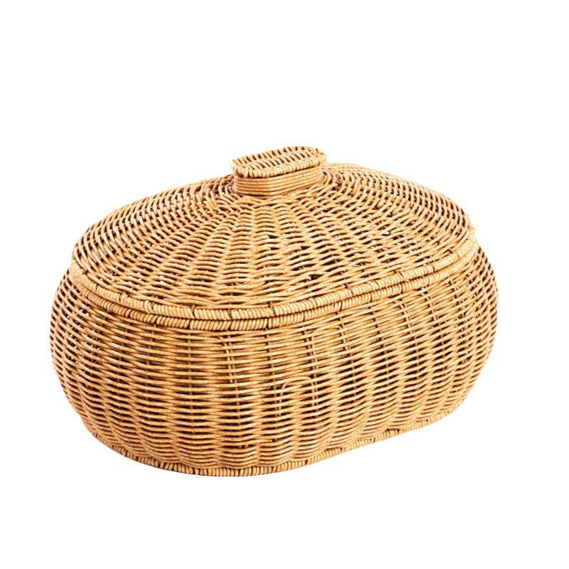 Woven Storage Container with Lid Brehn