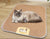 Pet Cooling Mat Brehn