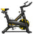 Indoor Cycling Exercise Bike Brehn