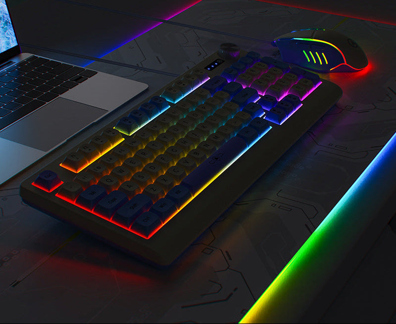 Retro RGB Mechanische Tastatur und Optische Gaming-Maus Set Brehn