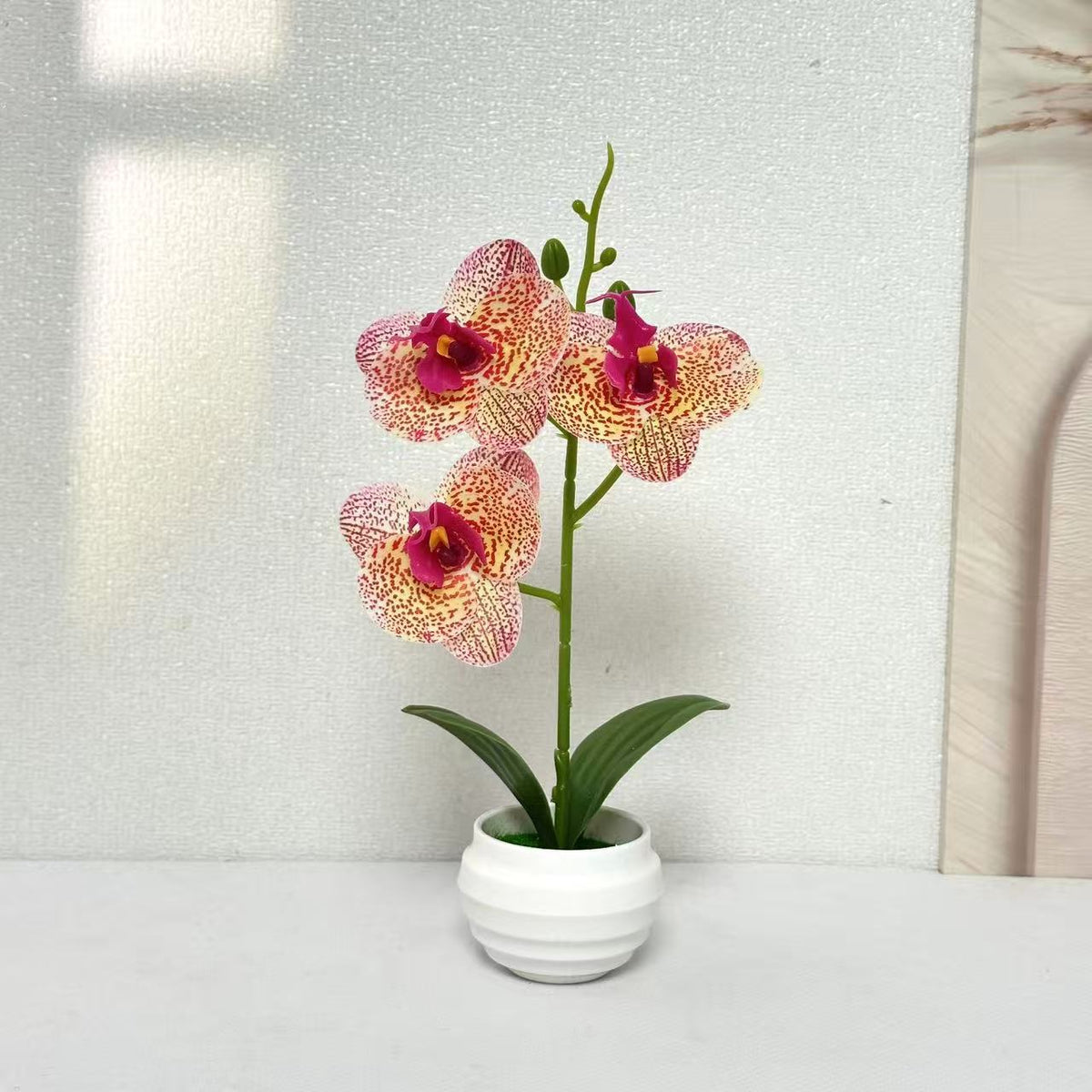 Elegante dekorative Orchideenpflanzenanordnung für die Wohnkultur