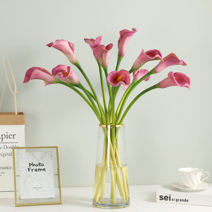 Elegante Kunst-Kalla-Lilienstängel