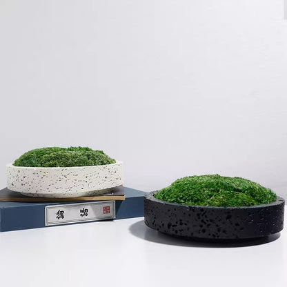 Dekorativer Gartenpflanzer