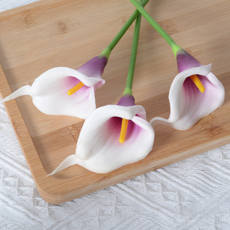 Dekorative Realistische Calla-Lilienstiele