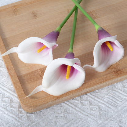 Dekorative Realistische Calla-Lilienstiele