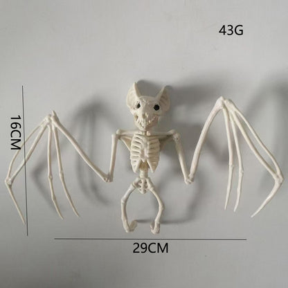 Anatomisches Lehrskelett