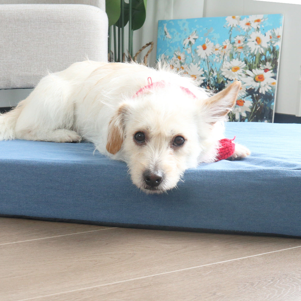 Bequeme unterstützende Hundematte