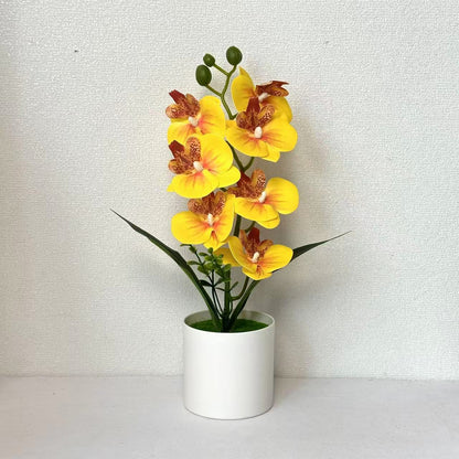 Lebensechte Orchideenblumen-Dekoration