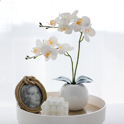 Dekorative Orchideenarrangement