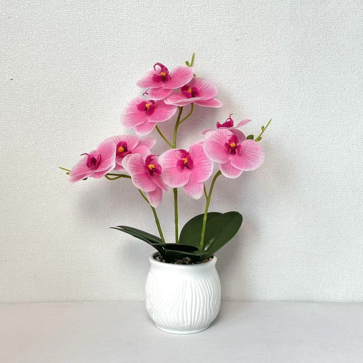 Elegante Orchideen Blumen Display