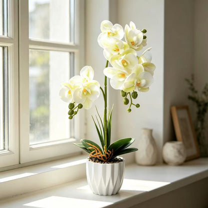 Lebensechte Orchideen-Dekorationspflanze
