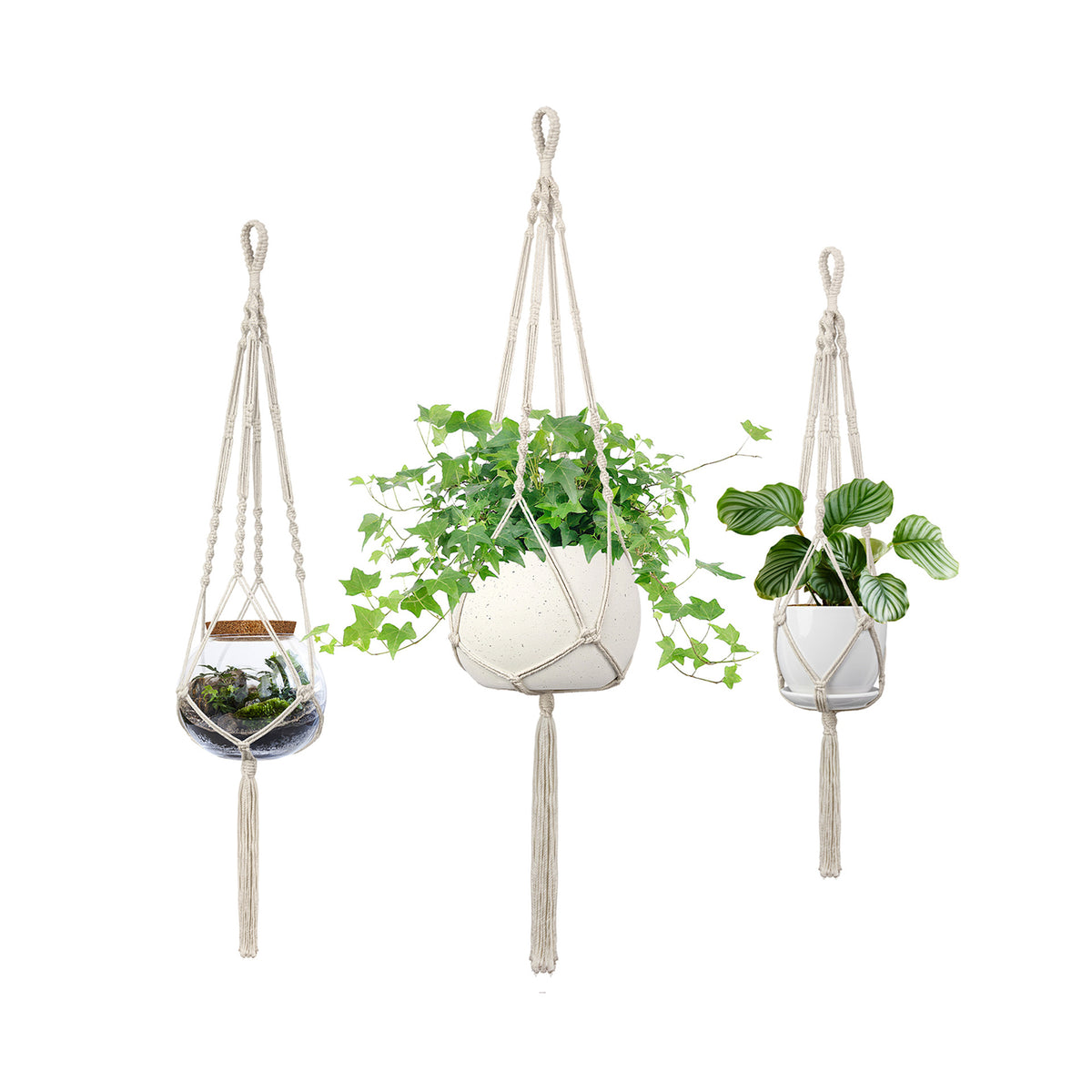 Makramee Pflanzen Hängender Halter