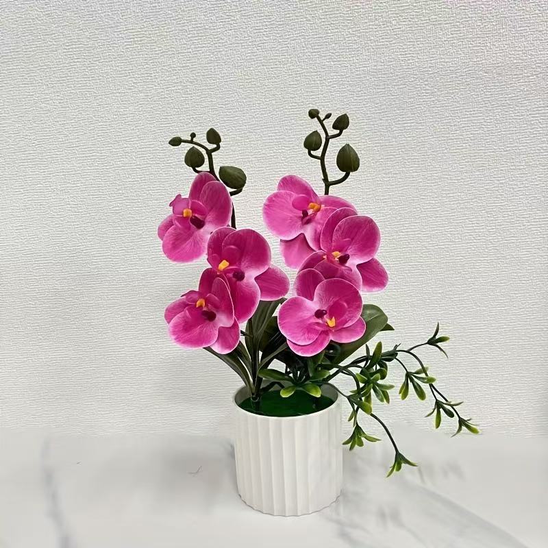 Elegante florale Orchideensträuße